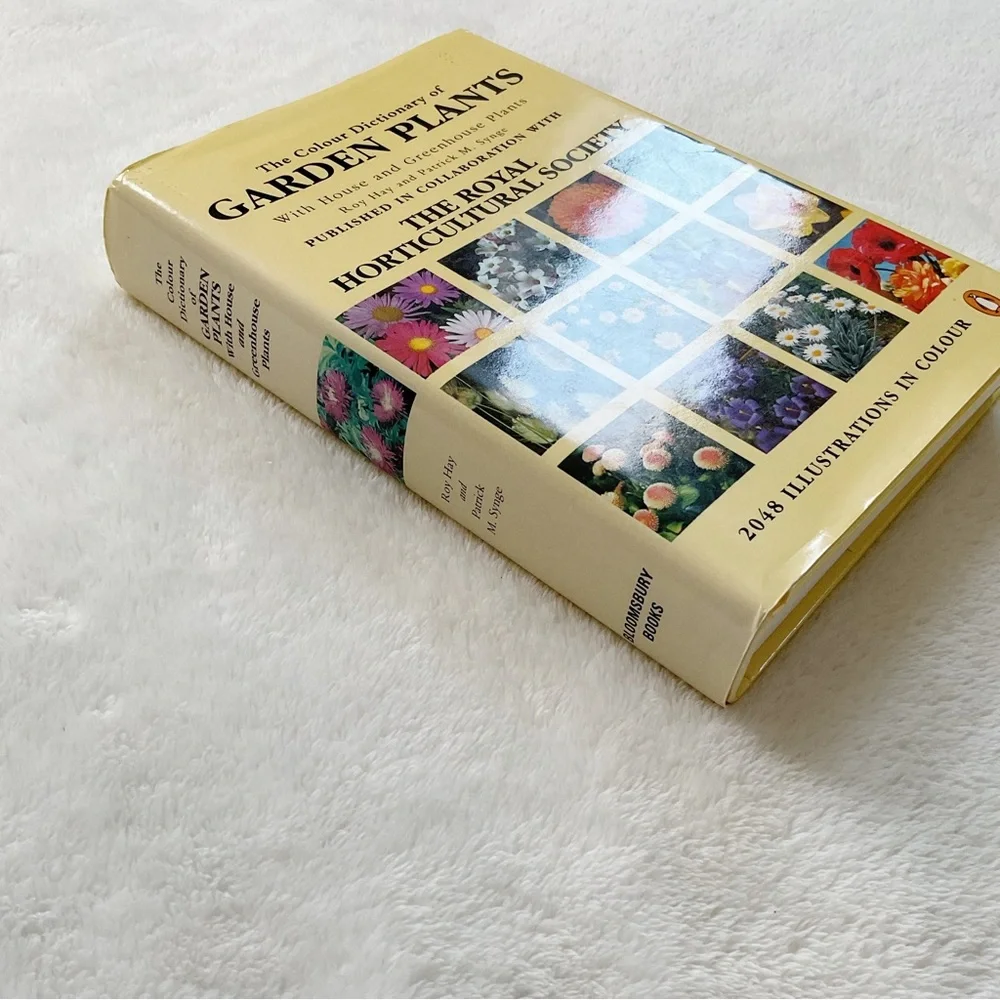 Vintage beautiful comprehensive
